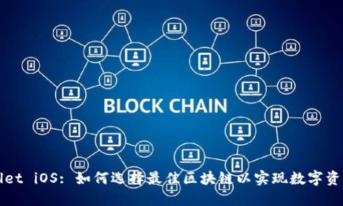 TPWallet iOS: 如何选择最佳区块链以实现数字资产管理