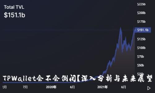 TPWallet会不会倒闭？深入分析与未来展望