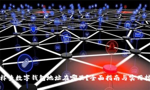 怎样查数字钱包地址在哪里？全面指南与实用技巧