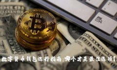 数字货币钱包选择指南：哪个才是最佳选项？