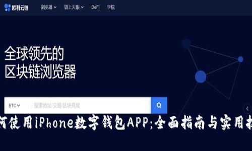 如何使用iPhone数字钱包APP：全面指南与实用技巧