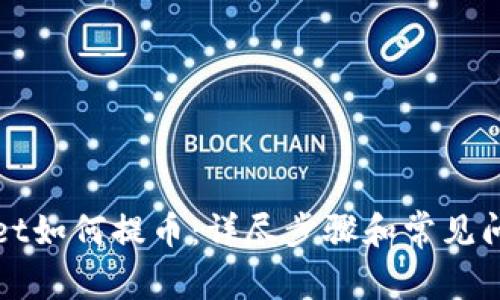 TPWallet如何提币：详尽步骤和常见问题解答