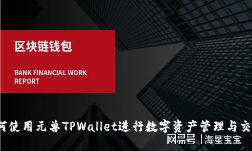 如何使用元兽TPWallet进行数字资产管理与交易？