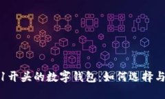 0051开头的数字钱包：如何选择与使用