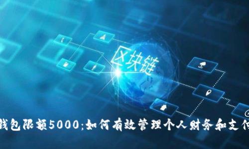 数字钱包限额5000：如何有效管理个人财务和支付安全