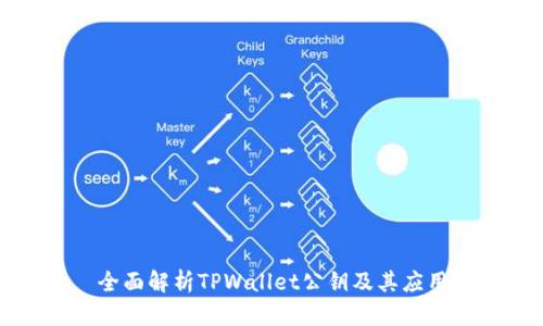 全面解析TPWallet公钥及其应用